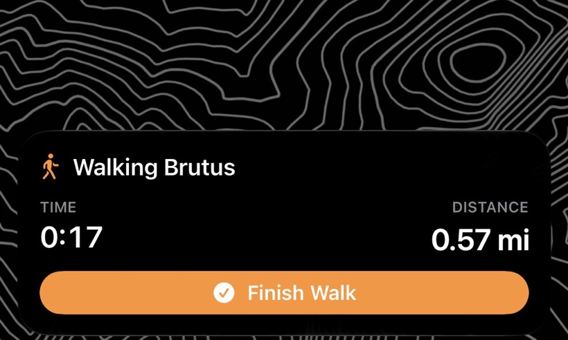The Lock Screen during a walk: Walking Brutus, 17 minutes, 0.57 miles, and a Finish Walk button.