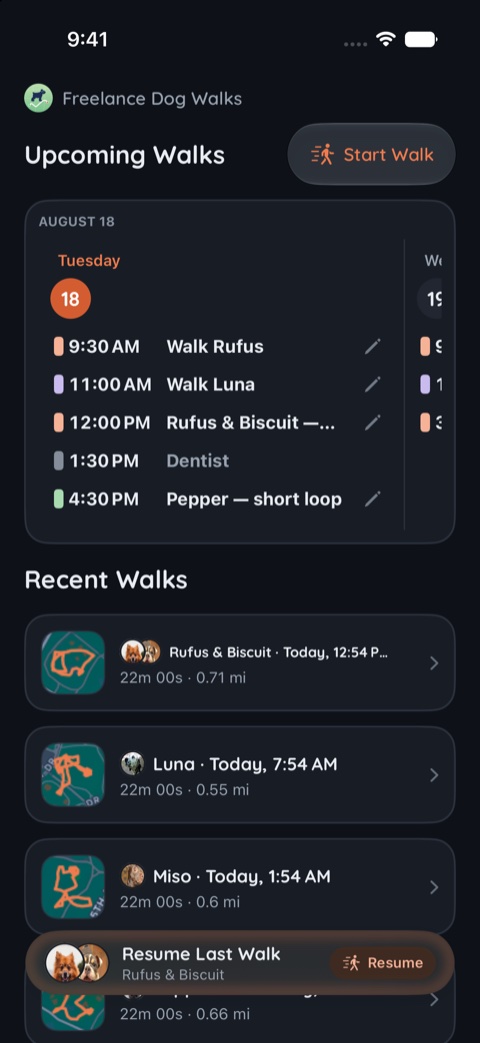 The Walks tab in the Slate theme, dark appearance.