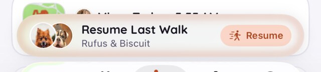 The Resume Last Walk chip on the Walks tab, naming Rufus and Biscuit, with a Resume button.