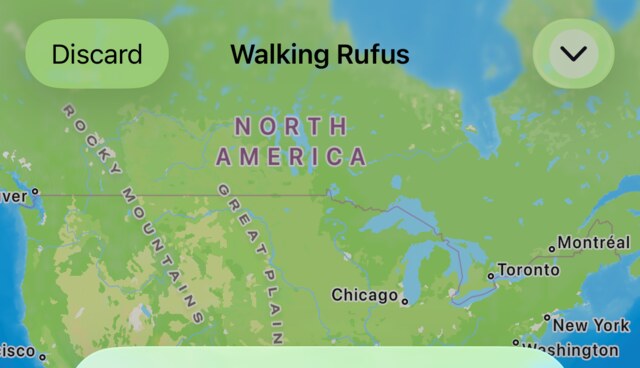 The top of the walk screen: a Discard button, the title Walking Rufus, and a chevron for minimizing, over the live map.