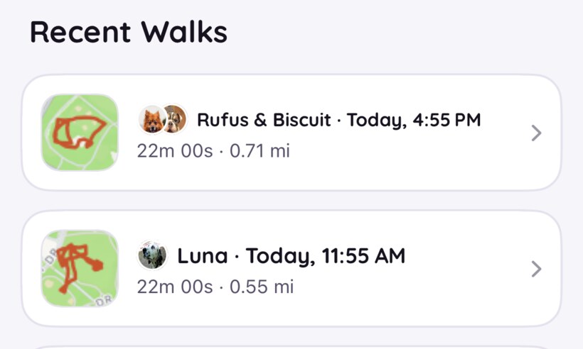 Recent walks stacked neatly — each with its route thumbnail, dogs, time, duration and distance.