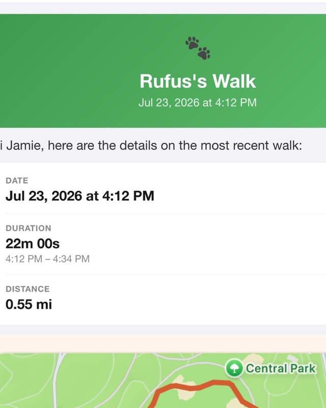 The same recap as an email — Rufus's Walk under a green header, with the date, duration and distance.