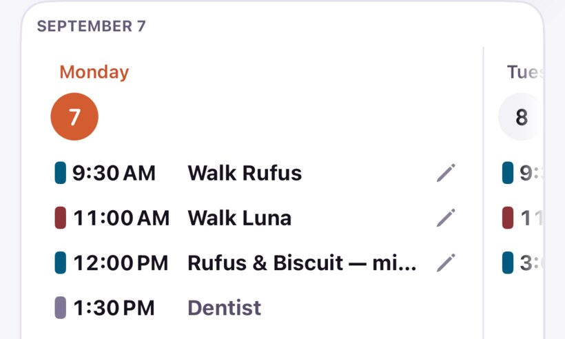 Monday's booked walks lined up on the schedule — Walk Rufus at 9:30, Walk Luna at 11:00 — with Tuesday peeking in from the right.